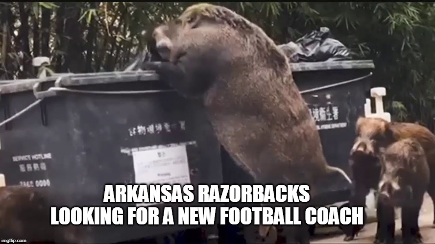 ARKANSAS RAZORBACKS LOOKING FOR A NEW FOOTBALL COACH | image tagged in trash | made w/ Imgflip meme maker