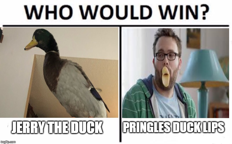 JERRY THE DUCK; PRINGLES DUCK LIPS | made w/ Imgflip meme maker