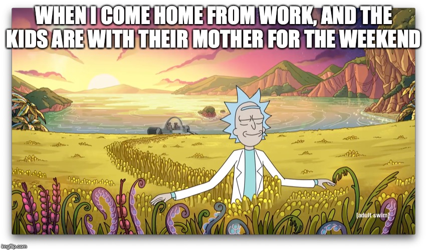 Peaceful home | WHEN I COME HOME FROM WORK, AND THE KIDS ARE WITH THEIR MOTHER FOR THE WEEKEND | image tagged in rickandmorty,rickatpeace | made w/ Imgflip meme maker