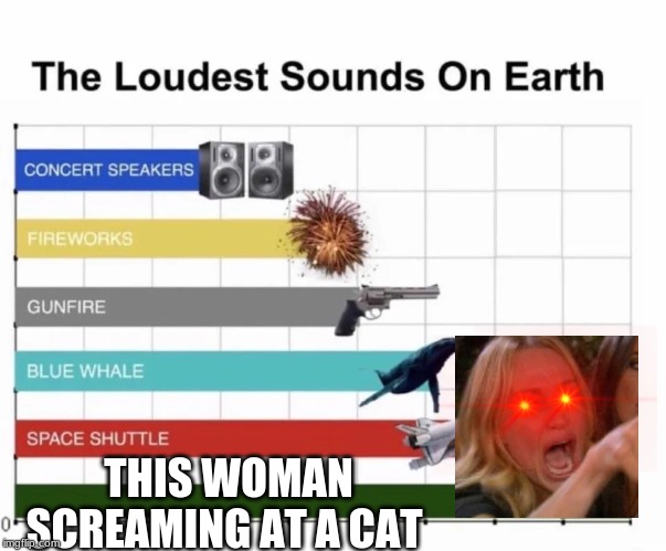 The Loudest Sounds On Earth | THIS WOMAN SCREAMING AT A CAT | image tagged in the loudest sounds on earth | made w/ Imgflip meme maker