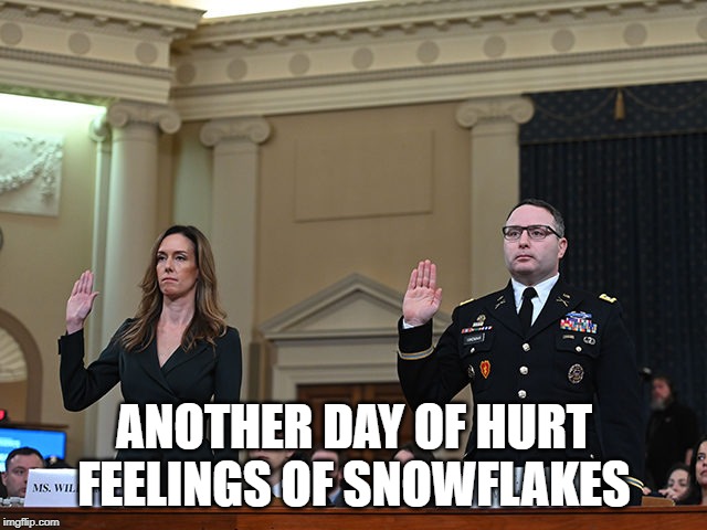 Traitors! | ANOTHER DAY OF HURT FEELINGS OF SNOWFLAKES | image tagged in impeachment scam,maga,vote straight maga ticket 2020,burning down the house | made w/ Imgflip meme maker
