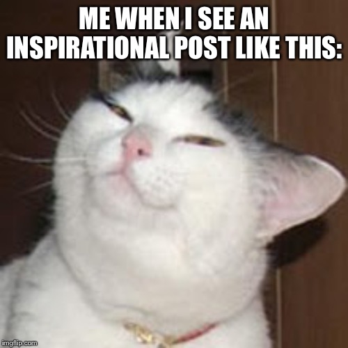 smug cat | ME WHEN I SEE AN INSPIRATIONAL POST LIKE THIS: | image tagged in smug cat | made w/ Imgflip meme maker