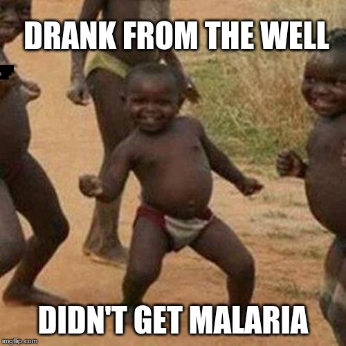 Third World Success Kid Meme | DRANK FROM THE WELL; DIDN'T GET MALARIA | image tagged in memes,third world success kid | made w/ Imgflip meme maker