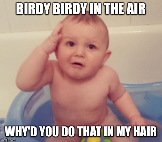 Confused Baby | BIRDY BIRDY IN THE AIR; WHY'D YOU DO THAT IN MY HAIR | image tagged in confused baby | made w/ Imgflip meme maker
