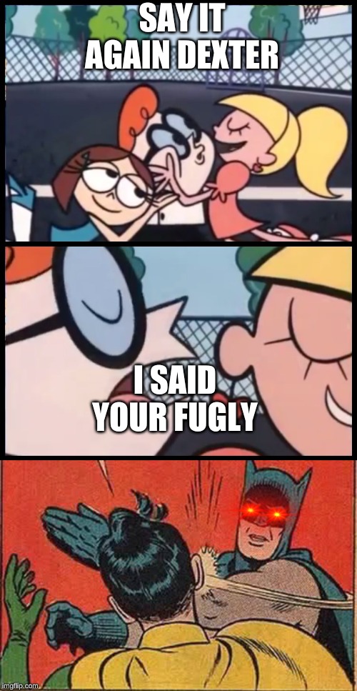 SAY IT AGAIN DEXTER; I SAID YOUR FUGLY | image tagged in memes,batman slapping robin,say it again dexter | made w/ Imgflip meme maker
