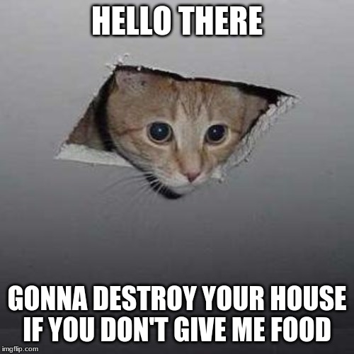 Ceiling Cat | HELLO THERE; GONNA DESTROY YOUR HOUSE IF YOU DON'T GIVE ME FOOD | image tagged in memes,ceiling cat | made w/ Imgflip meme maker