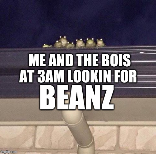 Nothing To See here | ME AND THE BOIS AT 3 AM LOOKING FOR; BEANZ | image tagged in nothing to see here | made w/ Imgflip meme maker