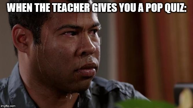 sweating bullets | WHEN THE TEACHER GIVES YOU A POP QUIZ: | image tagged in sweating bullets | made w/ Imgflip meme maker