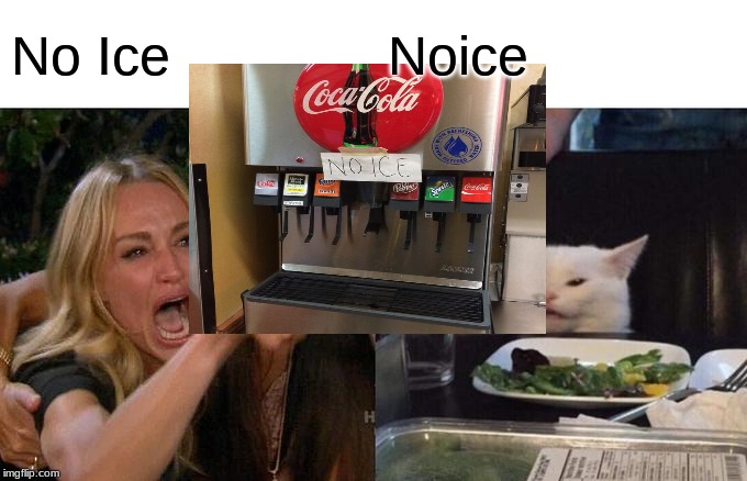 Woman Yelling At Cat | No Ice; Noice | image tagged in memes,woman yelling at cat | made w/ Imgflip meme maker