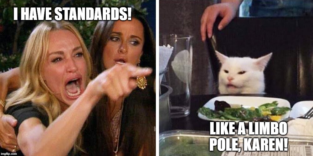 Smudge the cat | I HAVE STANDARDS! LIKE A LIMBO POLE, KAREN! | image tagged in smudge the cat | made w/ Imgflip meme maker