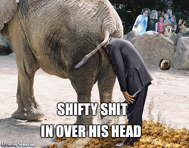 Shift | IN OVER HIS HEAD; SHIFTY SHIT | image tagged in political | made w/ Imgflip meme maker