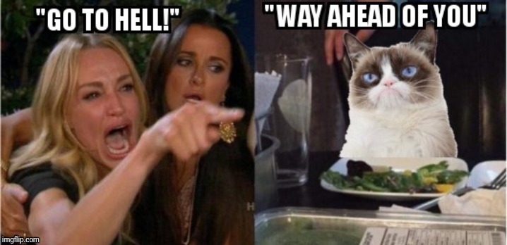 image tagged in woman yelling at cat,grumpy cat | made w/ Imgflip meme maker