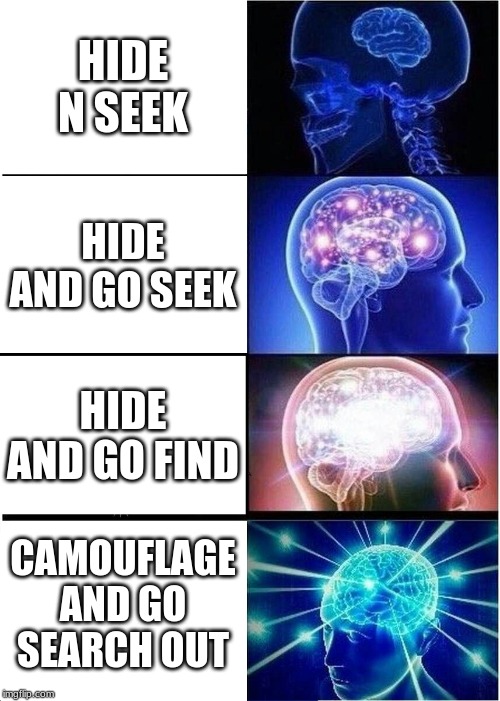 big brain | HIDE N SEEK; HIDE AND GO SEEK; HIDE AND GO FIND; CAMOUFLAGE AND GO SEARCH OUT | image tagged in expanding brain,big brain | made w/ Imgflip meme maker