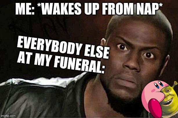 Kevin Hart Meme | ME: *WAKES UP FROM NAP*; EVERYBODY ELSE AT MY FUNERAL: | image tagged in memes,kevin hart | made w/ Imgflip meme maker