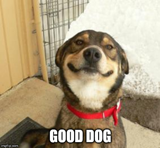 Good Dog Greg | GOOD DOG | image tagged in good dog greg | made w/ Imgflip meme maker