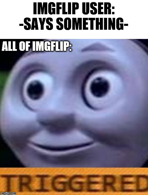 IMGFLIP USER: -SAYS SOMETHING-; ALL OF IMGFLIP: | image tagged in triggered,imgflip,imgflip users | made w/ Imgflip meme maker