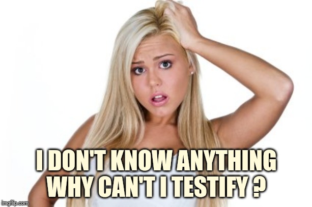 Dumb Blonde | I DON'T KNOW ANYTHING
WHY CAN'T I TESTIFY ? | image tagged in dumb blonde | made w/ Imgflip meme maker