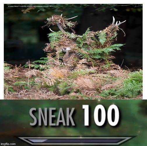 image tagged in sneak 100,deer | made w/ Imgflip meme maker