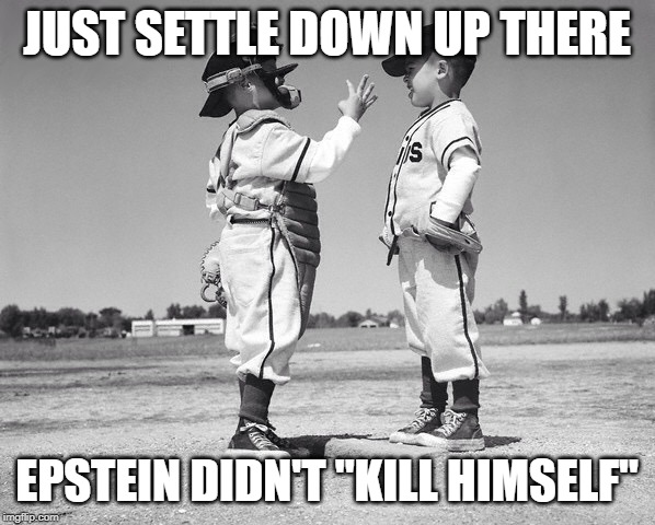 kids baseball | JUST SETTLE DOWN UP THERE EPSTEIN DIDN'T "KILL HIMSELF" | image tagged in kids baseball | made w/ Imgflip meme maker