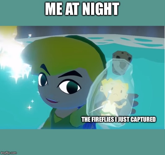 Legend of Zelda fairy in a bottle | ME AT NIGHT; THE FIREFLIES I JUST CAPTURED | image tagged in legend of zelda fairy in a bottle | made w/ Imgflip meme maker