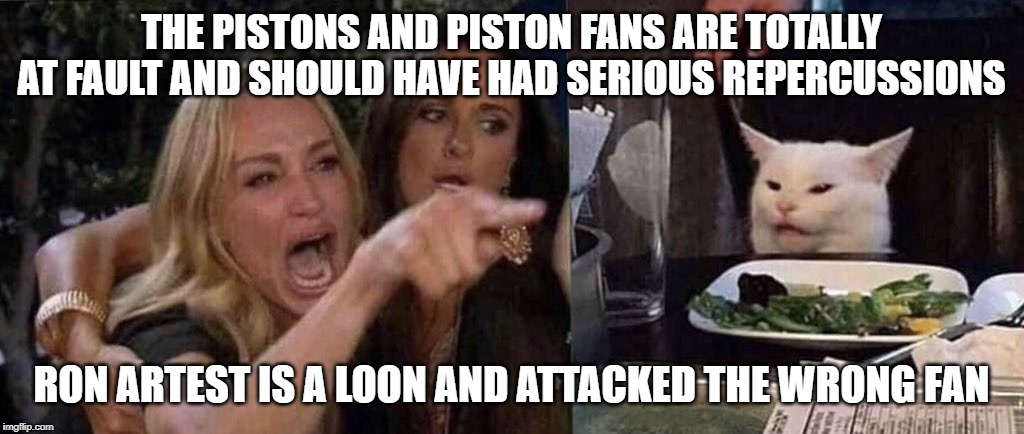 woman yelling at cat | THE PISTONS AND PISTON FANS ARE TOTALLY AT FAULT AND SHOULD HAVE HAD SERIOUS REPERCUSSIONS; RON ARTEST IS A LOON AND ATTACKED THE WRONG FAN | image tagged in woman yelling at cat | made w/ Imgflip meme maker