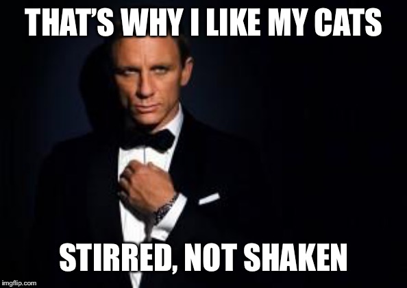 james bond | THAT’S WHY I LIKE MY CATS STIRRED, NOT SHAKEN | image tagged in james bond | made w/ Imgflip meme maker