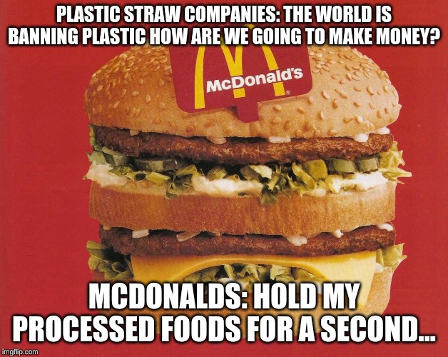 McDonald's Burger! | PLASTIC STRAW COMPANIES: THE WORLD IS BANNING PLASTIC HOW ARE WE GOING TO MAKE MONEY? MCDONALDS: HOLD MY PROCESSED FOODS FOR A SECOND... | image tagged in mcdonald's burger | made w/ Imgflip meme maker