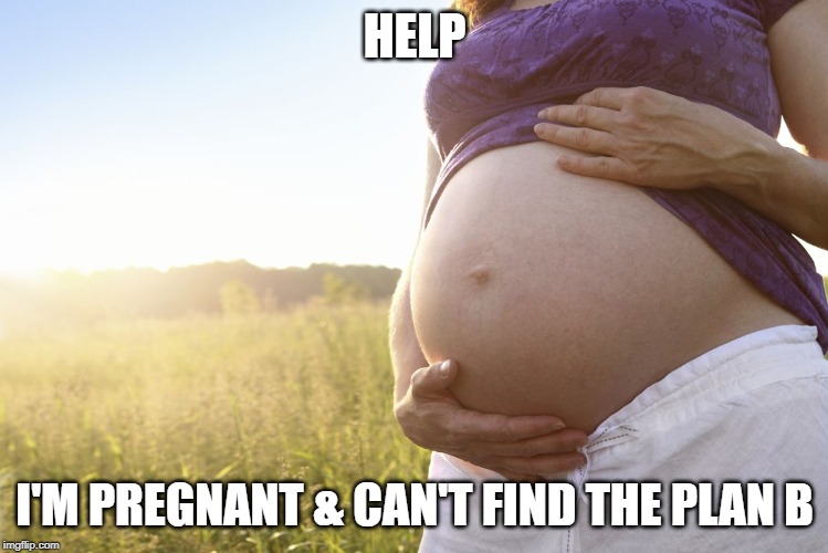 Pregnant Woman | HELP; I'M PREGNANT & CAN'T FIND THE PLAN B | image tagged in pregnant woman | made w/ Imgflip meme maker