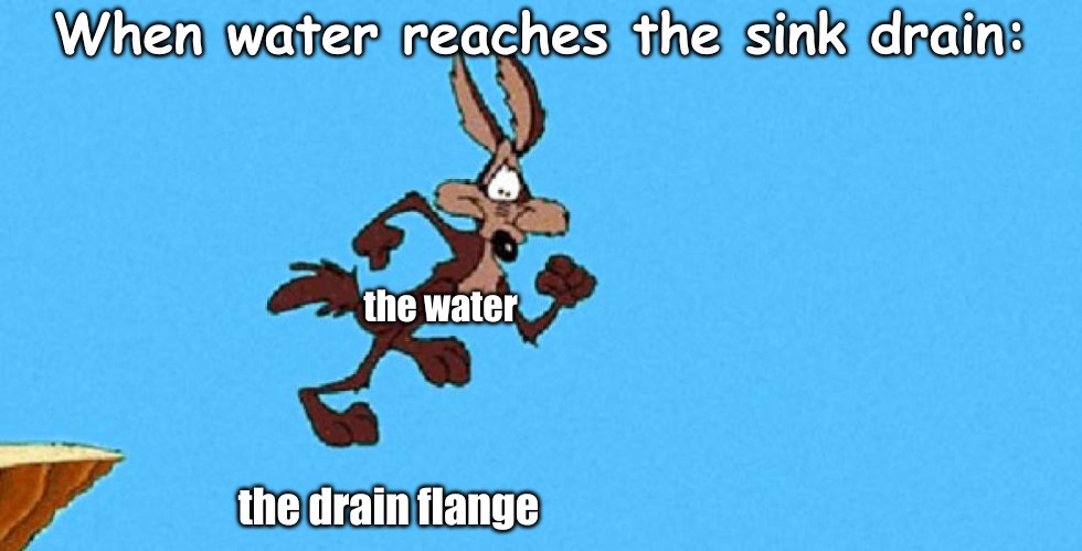 When water reaches the sink drain:; the water; the drain flange | image tagged in memes,random | made w/ Imgflip meme maker