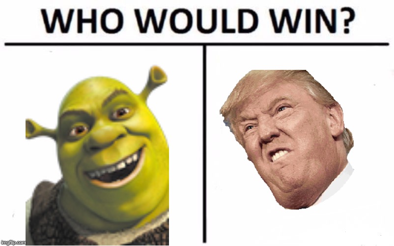 Who Would Win? Meme | image tagged in memes,who would win | made w/ Imgflip meme maker