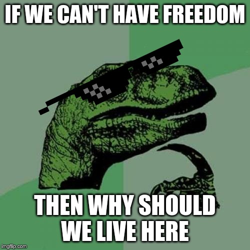 Philosoraptor | IF WE CAN'T HAVE FREEDOM; THEN WHY SHOULD WE LIVE HERE | image tagged in memes,philosoraptor | made w/ Imgflip meme maker