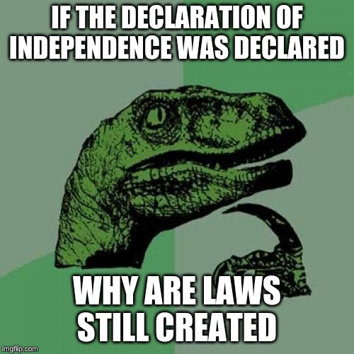 Philosoraptor | IF THE DECLARATION OF INDEPENDENCE WAS DECLARED; WHY ARE LAWS STILL CREATED | image tagged in memes,philosoraptor | made w/ Imgflip meme maker