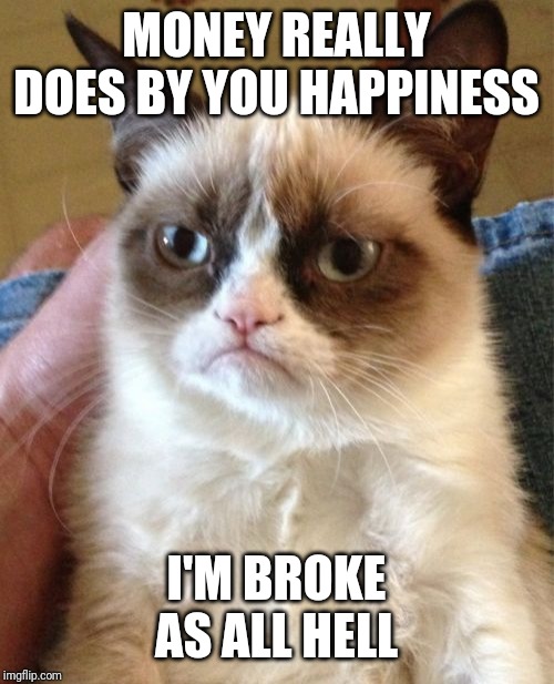 Grumpy Cat | MONEY REALLY DOES BY YOU HAPPINESS; I'M BROKE AS ALL HELL | image tagged in memes,grumpy cat | made w/ Imgflip meme maker