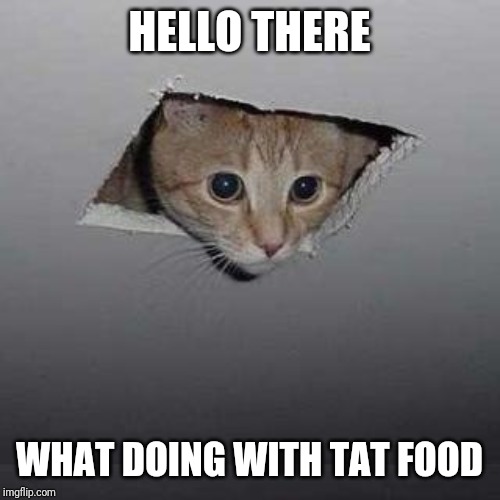 Ceiling Cat | HELLO THERE; WHAT DOING WITH TAT FOOD | image tagged in memes,ceiling cat | made w/ Imgflip meme maker