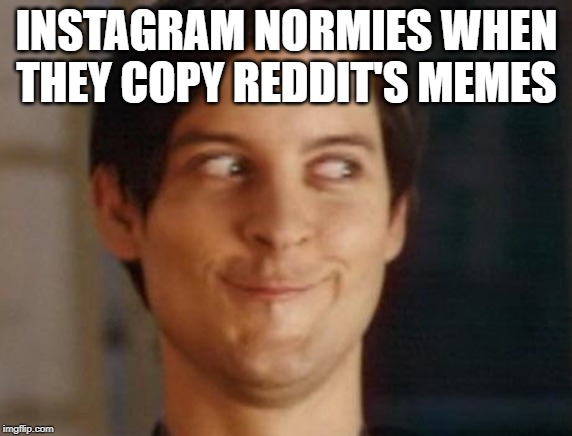 Spiderman Peter Parker Meme | INSTAGRAM NORMIES WHEN THEY COPY REDDIT'S MEMES | image tagged in memes,spiderman peter parker | made w/ Imgflip meme maker