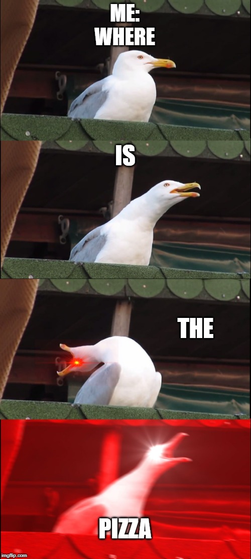 Inhaling Seagull | ME:
WHERE; IS; THE; PIZZA | image tagged in memes,inhaling seagull | made w/ Imgflip meme maker