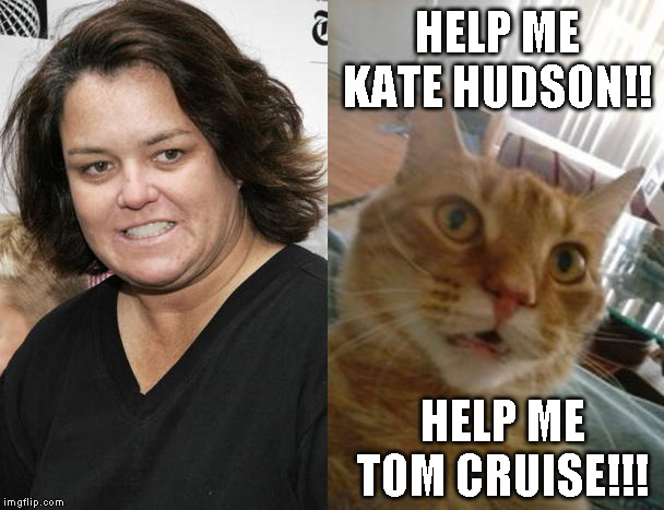 HELP ME SCREAMING CAT LADY | HELP ME KATE HUDSON!! HELP ME TOM CRUISE!!! | image tagged in screaming cat lady | made w/ Imgflip meme maker