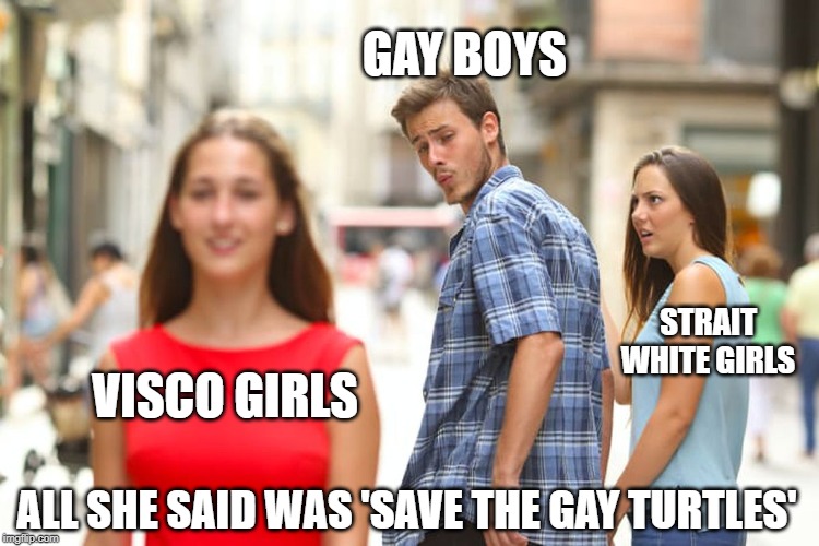 Distracted Boyfriend Meme | GAY BOYS; STRAIT WHITE GIRLS; VISCO GIRLS; ALL SHE SAID WAS 'SAVE THE GAY TURTLES' | image tagged in memes,distracted boyfriend | made w/ Imgflip meme maker