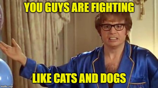 Honestly | YOU GUYS ARE FIGHTING LIKE CATS AND DOGS | image tagged in honestly | made w/ Imgflip meme maker