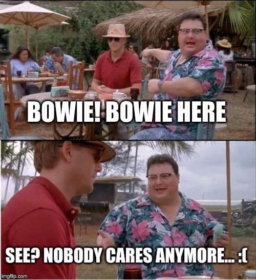 See Nobody Cares Meme | BOWIE! BOWIE HERE; SEE? NOBODY CARES ANYMORE... :( | image tagged in memes,see nobody cares | made w/ Imgflip meme maker