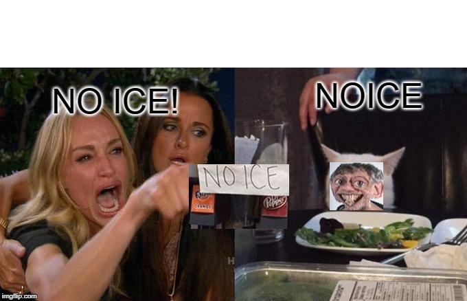 Woman Yelling At Cat | NOICE; NO ICE! | image tagged in memes,woman yelling at cat | made w/ Imgflip meme maker