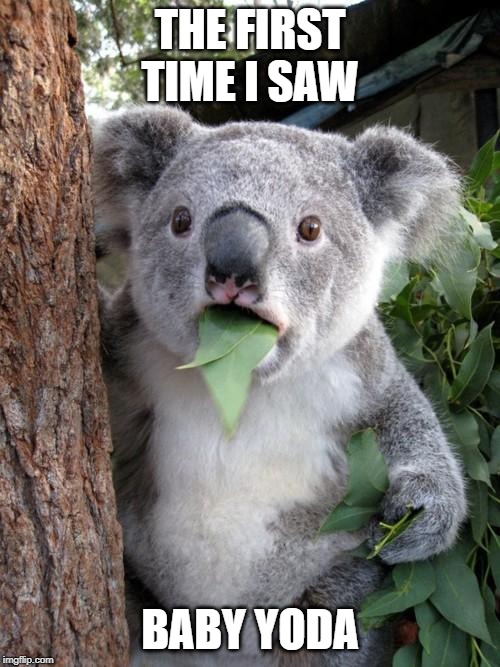 Surprised Koala | THE FIRST TIME I SAW; BABY YODA | image tagged in memes,surprised koala | made w/ Imgflip meme maker