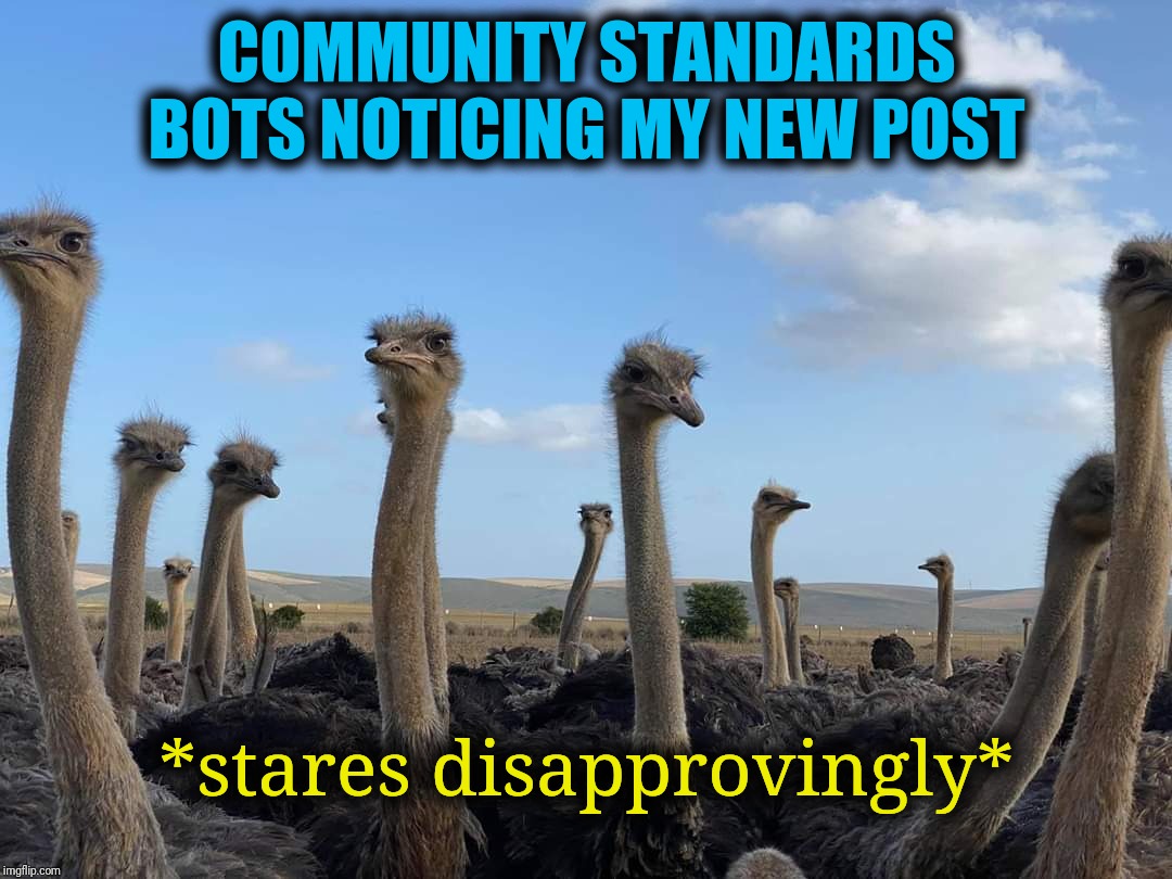 Disapproving stares | COMMUNITY STANDARDS BOTS NOTICING MY NEW POST; *stares disapprovingly* | image tagged in disapproving stares | made w/ Imgflip meme maker