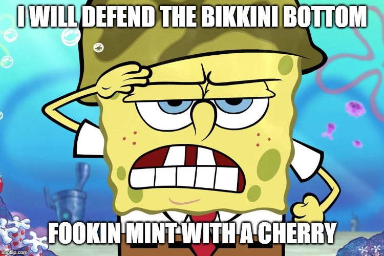 I WILL DEFEND THE BIKKINI BOTTOM; FOOKIN MINT WITH A CHERRY | image tagged in yeet | made w/ Imgflip meme maker