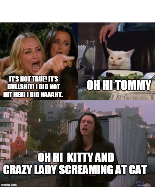 Cat:  the movie | OH HI TOMMY; IT’S NOT TRUE! IT’S BULLSHIT! I DID NOT HIT HER! I DID NAAAHT. OH HI  KITTY AND CRAZY LADY SCREAMING AT CAT | image tagged in the room,tommy wiseau,movie,kitty | made w/ Imgflip meme maker