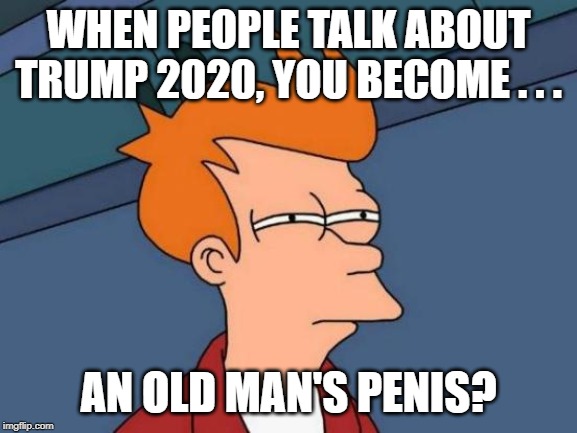 Futurama Fry Meme | WHEN PEOPLE TALK ABOUT TRUMP 2020, YOU BECOME . . . AN OLD MAN'S P**IS? | image tagged in memes,futurama fry | made w/ Imgflip meme maker