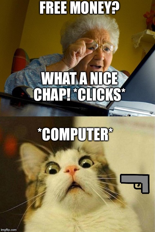 FREE MONEY? WHAT A NICE CHAP! *CLICKS*; *COMPUTER* | image tagged in memes,grandma finds the internet,scared cat | made w/ Imgflip meme maker