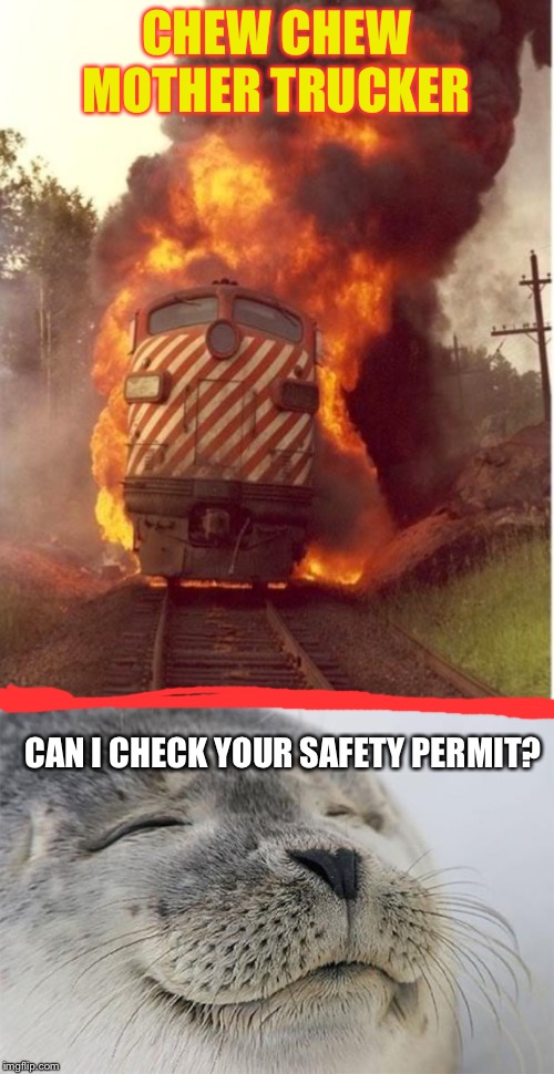CHEW CHEW MOTHER TRUCKER; CAN I CHECK YOUR SAFETY PERMIT? | image tagged in memes,satisfied seal,i like trains | made w/ Imgflip meme maker