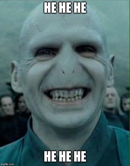 Voldemort Grin | HE HE HE; HE HE HE | image tagged in voldemort grin | made w/ Imgflip meme maker