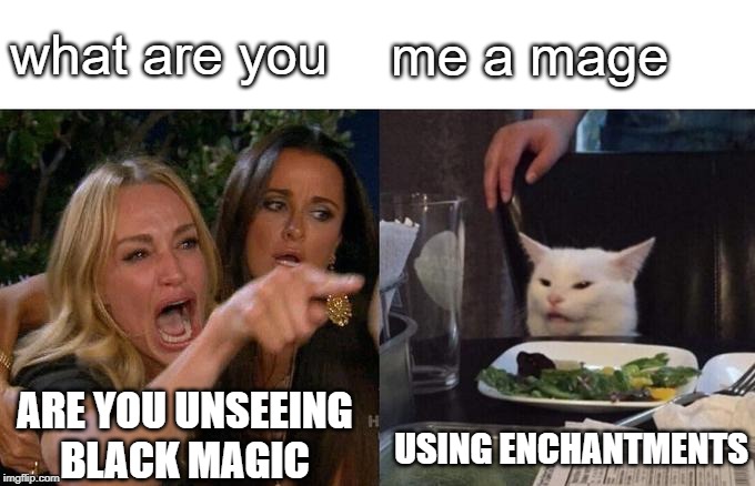 Woman Yelling At Cat Meme | what are you me a mage USING ENCHANTMENTS ARE YOU UNSEEING BLACK MAGIC | image tagged in memes,woman yelling at cat | made w/ Imgflip meme maker